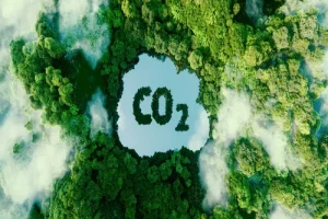 concept-depicting-issue-carbon-dioxide-emissions-its-impact-nature-form-pond-shape-co2-symbol-located-lush-forest-3d-rendering (1)